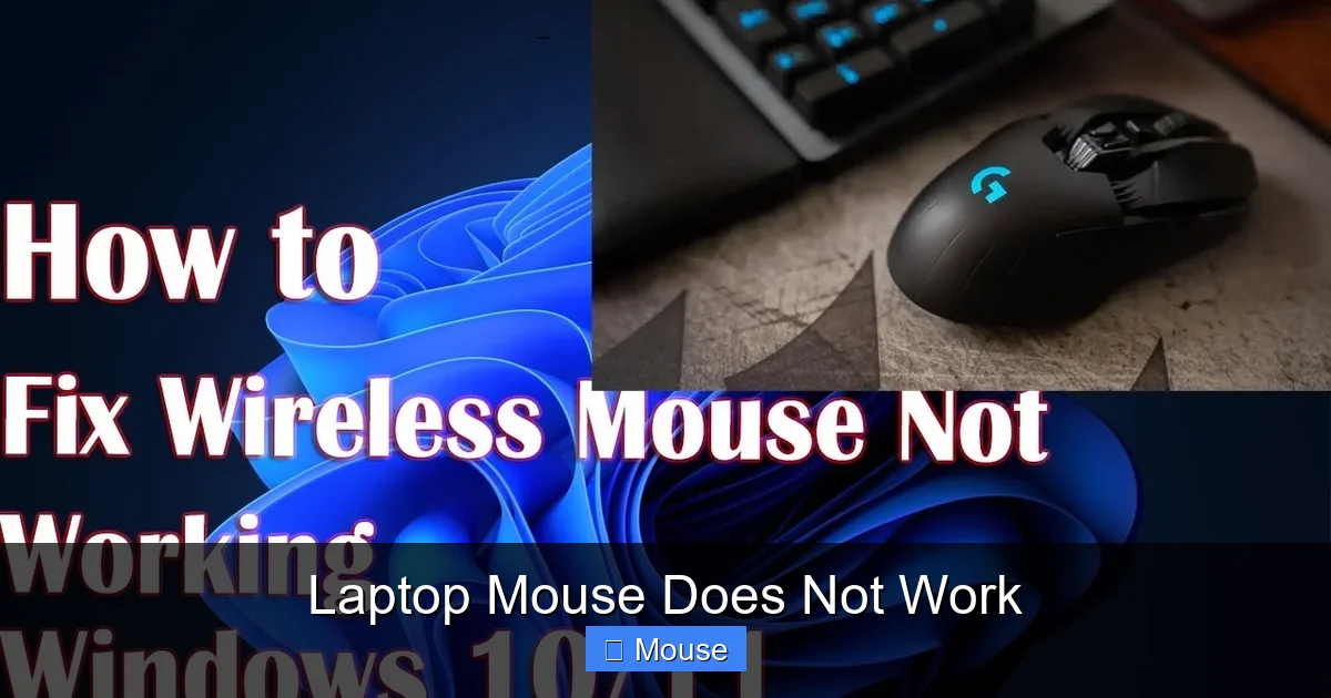 Laptop Mouse Does Not Work