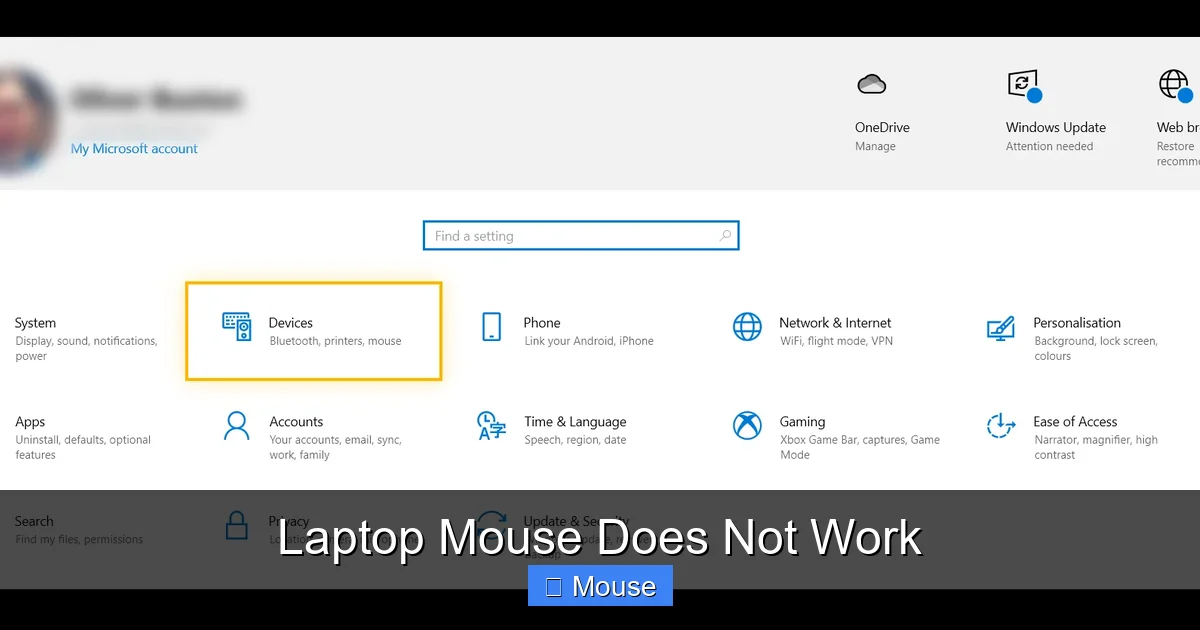 Laptop Mouse Does Not Work
