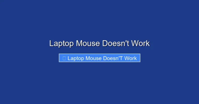 Laptop Mouse Doesn't Work