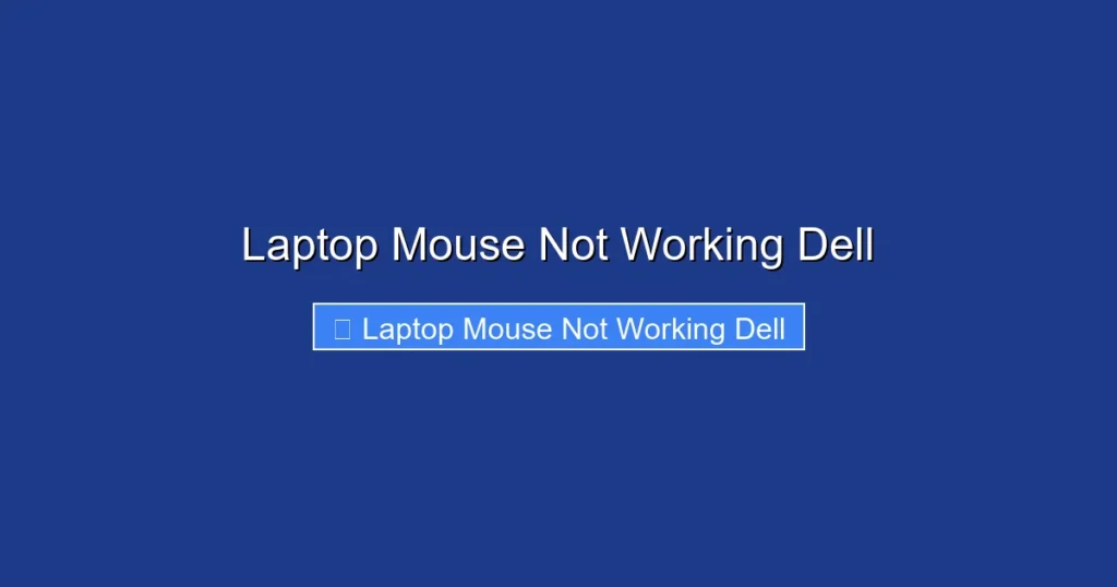 Laptop Mouse Not Working Dell