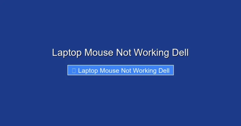 Laptop Mouse Not Working Dell