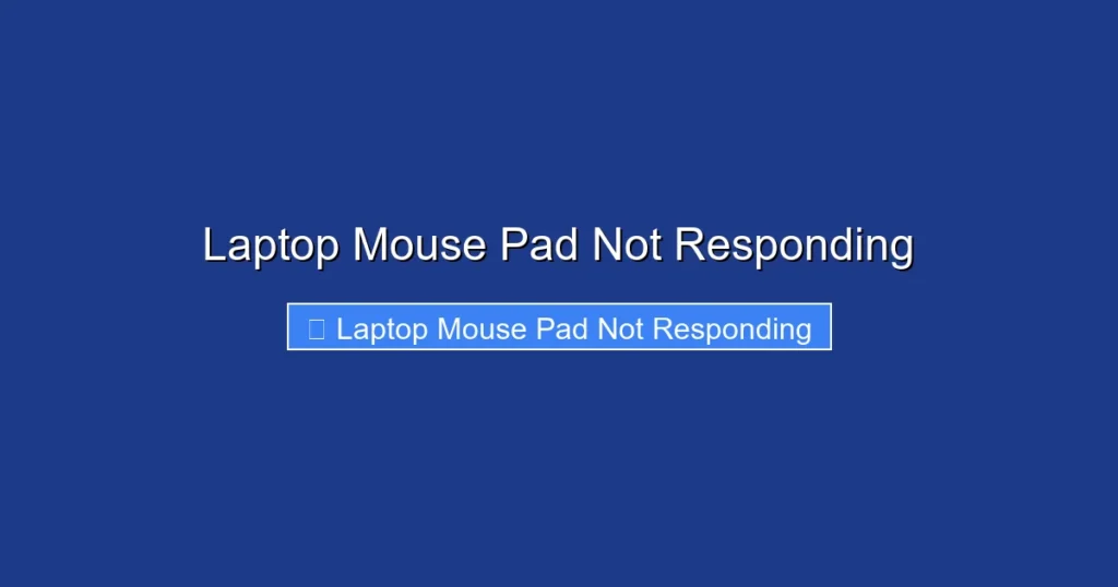 Laptop Mouse Pad Not Responding