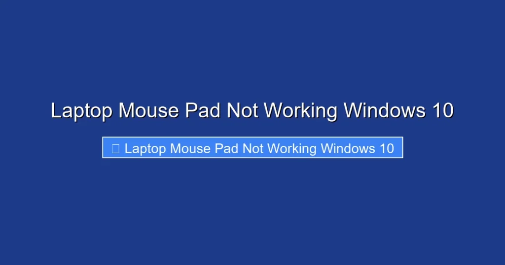 Laptop Mouse Pad Not Working Windows 10