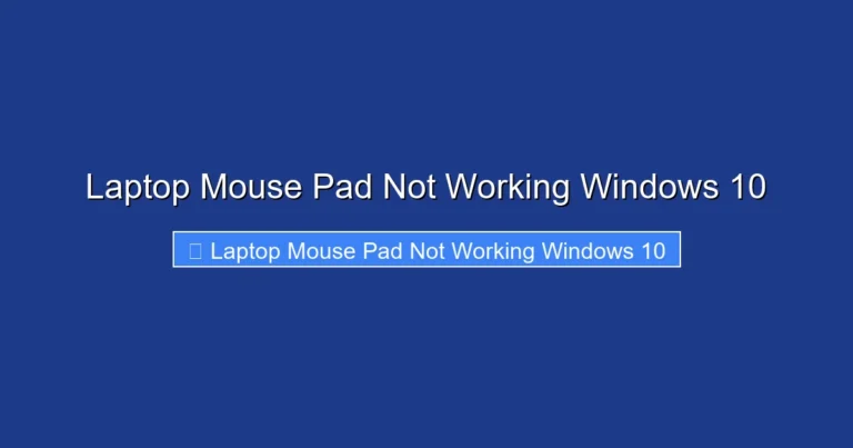Laptop Mouse Pad Not Working Windows 10