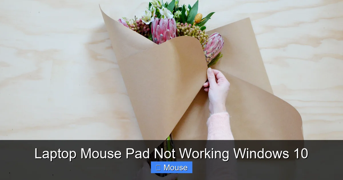 Laptop Mouse Pad Not Working Windows 10