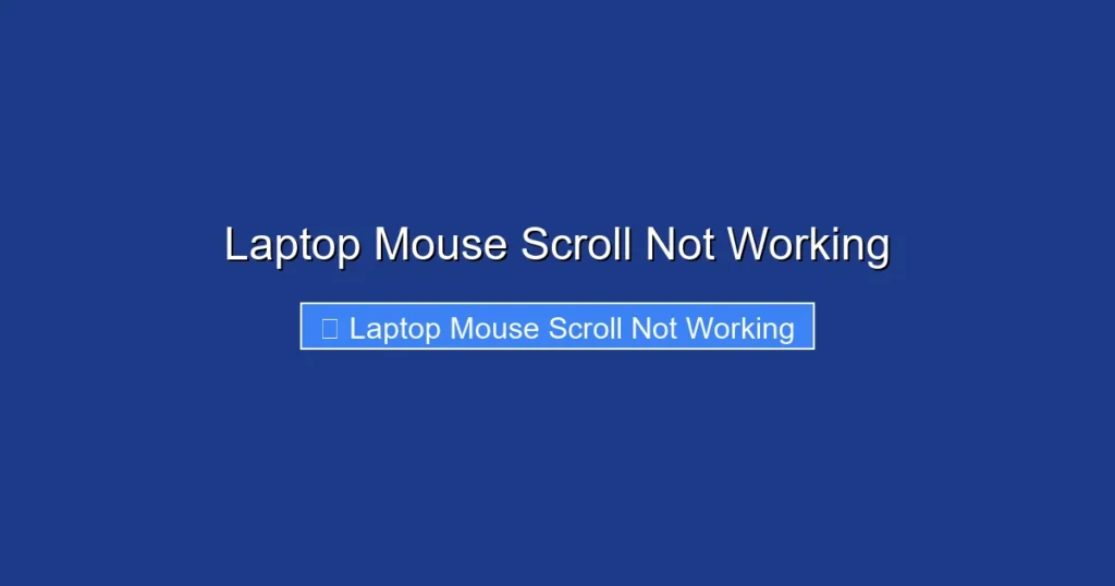 Laptop Mouse Scroll Not Working