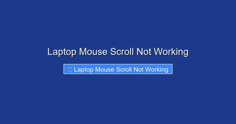 Laptop Mouse Scroll Not Working
