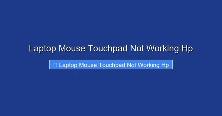 Laptop Mouse Touchpad Not Working Hp