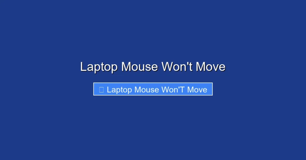 Laptop Mouse Won't Move