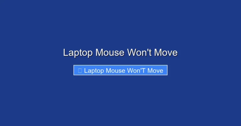 Laptop Mouse Won't Move