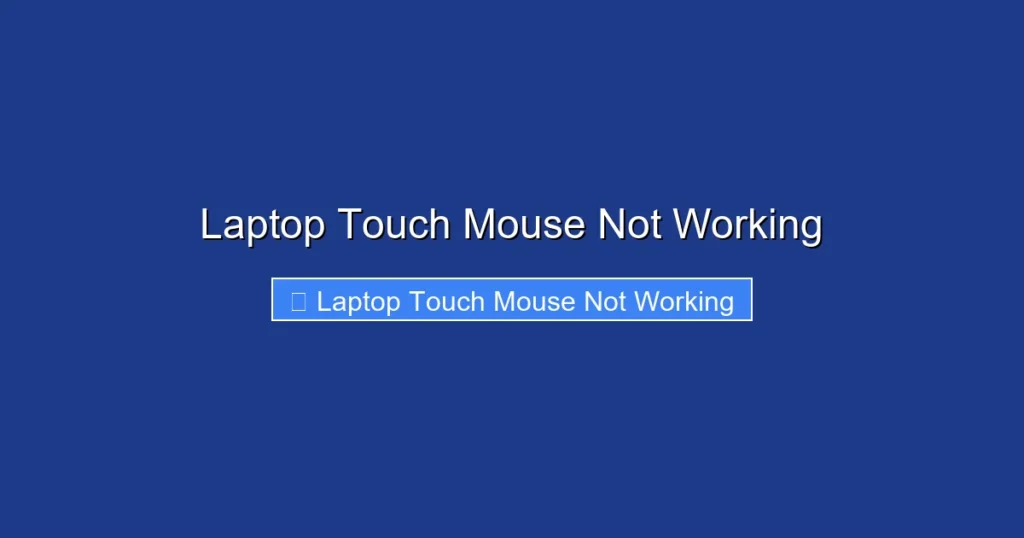 Laptop Touch Mouse Not Working