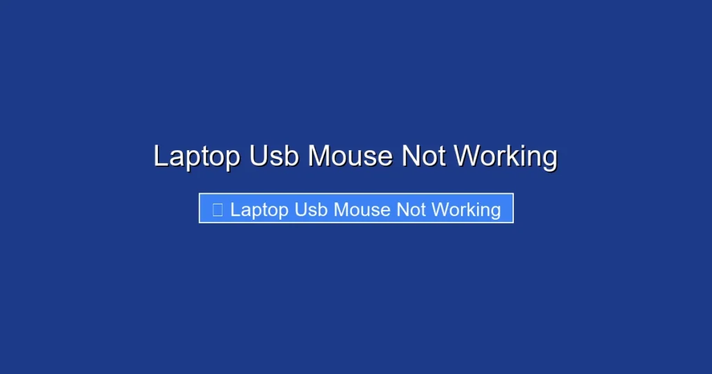 Laptop Usb Mouse Not Working