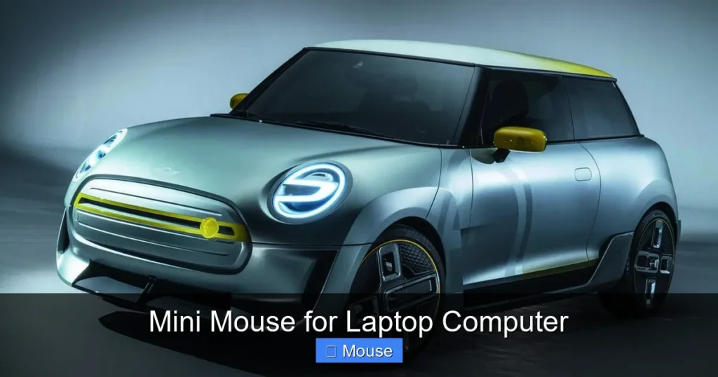Mini Mouse for Laptop Computer