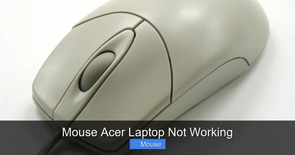 Mouse Acer Laptop Not Working