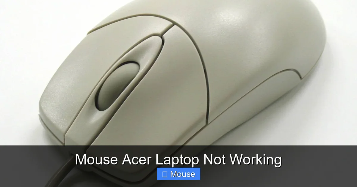 Mouse Acer Laptop Not Working