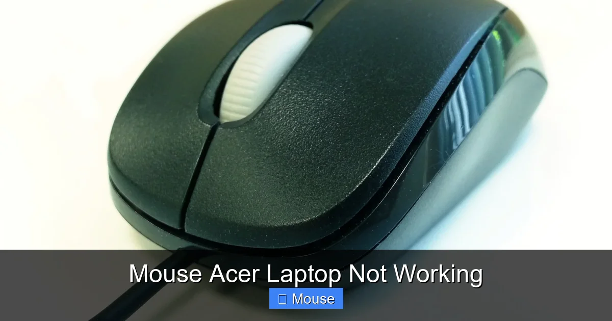 Mouse Acer Laptop Not Working