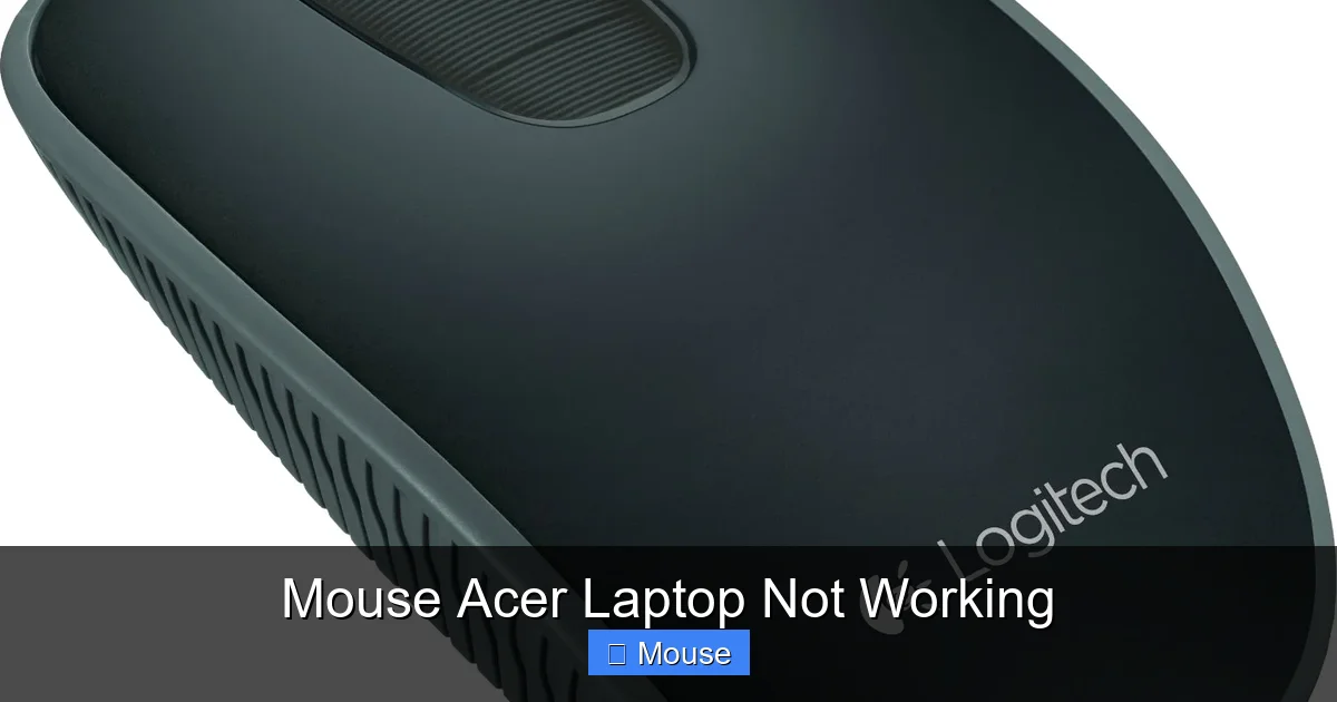 Mouse Acer Laptop Not Working