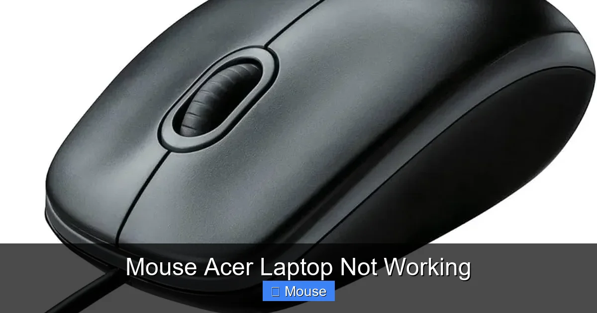 Mouse Acer Laptop Not Working