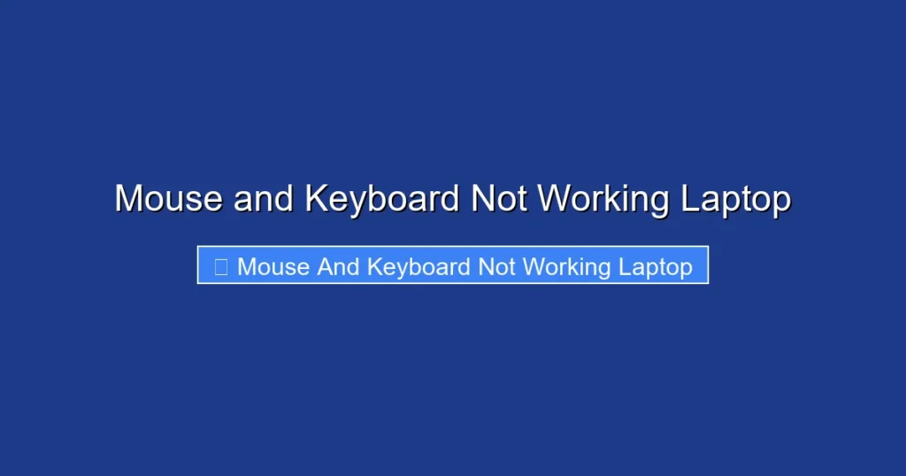 Mouse and Keyboard Not Working Laptop