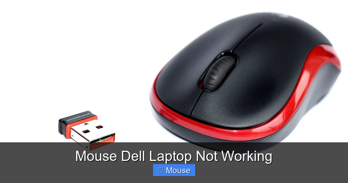 Mouse Dell Laptop Not Working
