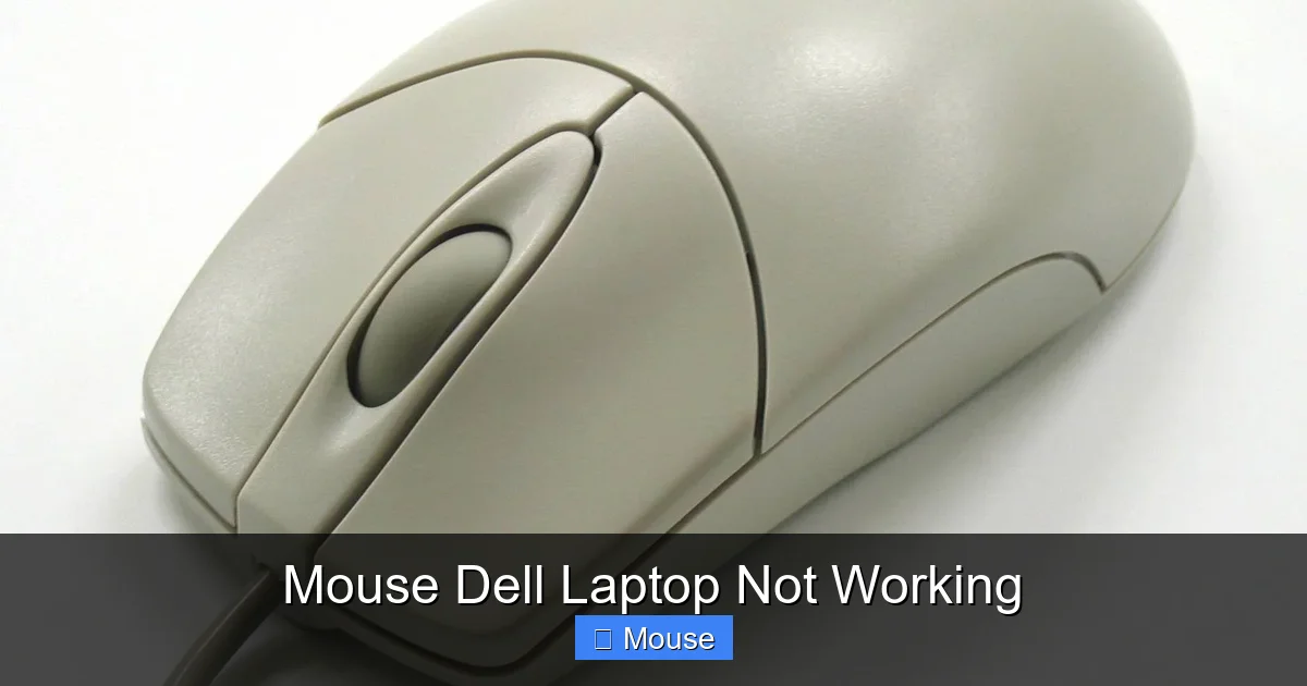 Mouse Dell Laptop Not Working