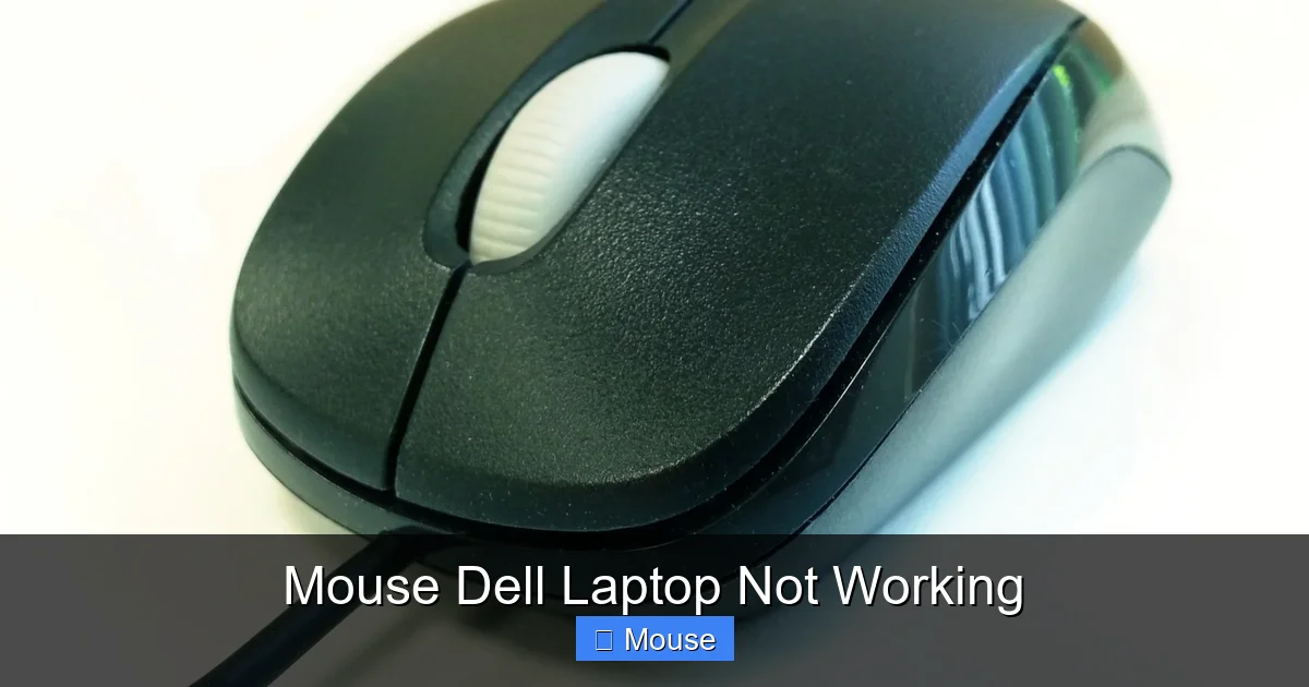 Mouse Dell Laptop Not Working