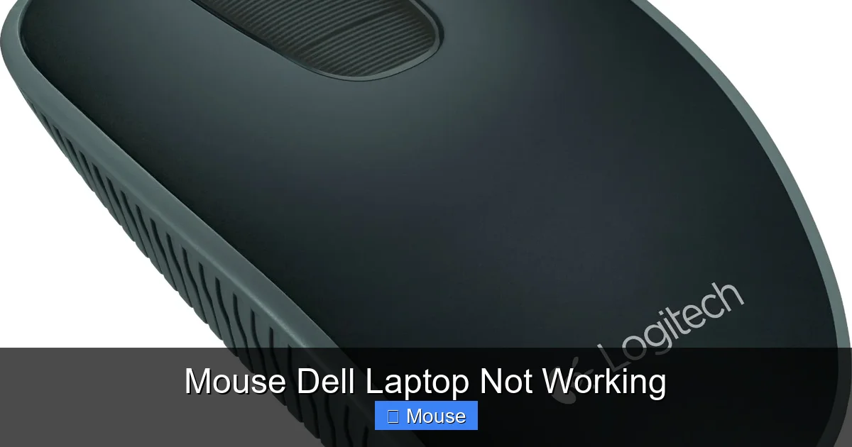 Mouse Dell Laptop Not Working