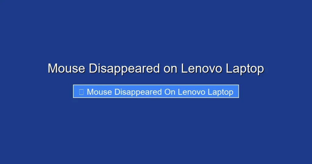 Mouse Disappeared on Lenovo Laptop