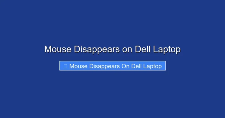 Mouse Disappears on Dell Laptop