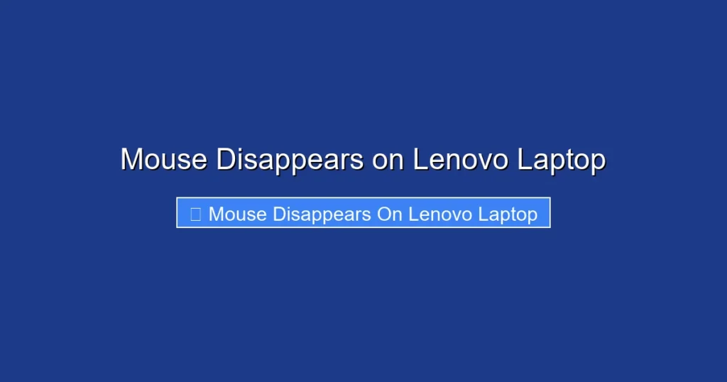 Mouse Disappears on Lenovo Laptop