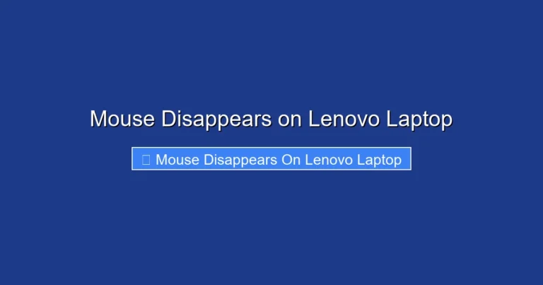 Mouse Disappears on Lenovo Laptop