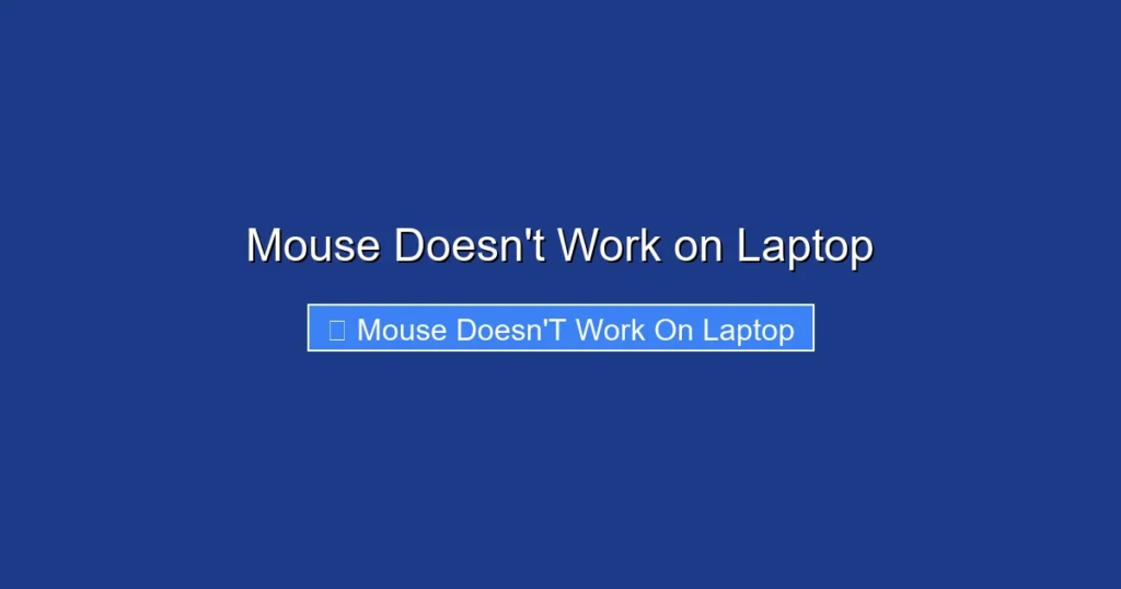 Mouse Doesn't Work on Laptop