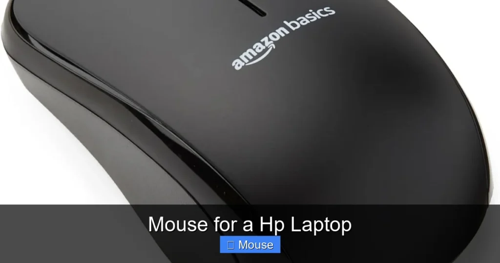 Mouse for a Hp Laptop