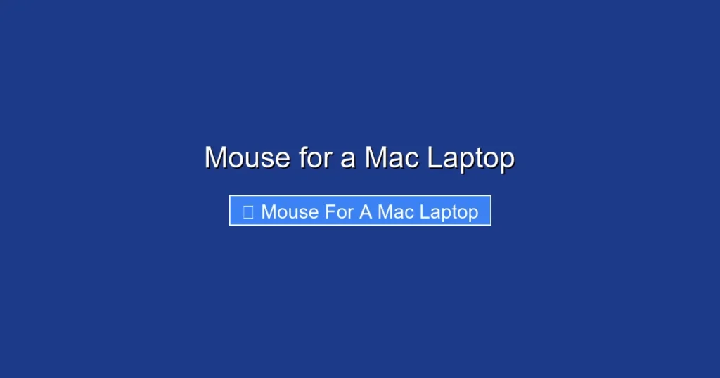 Mouse for a Mac Laptop