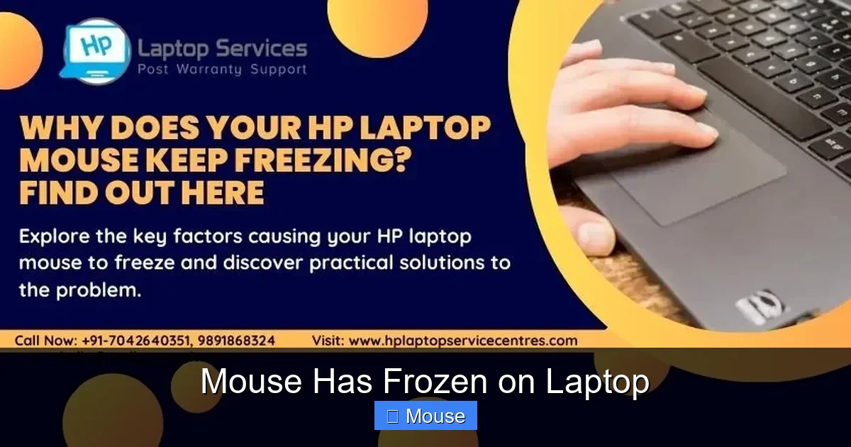 Mouse Has Frozen on Laptop