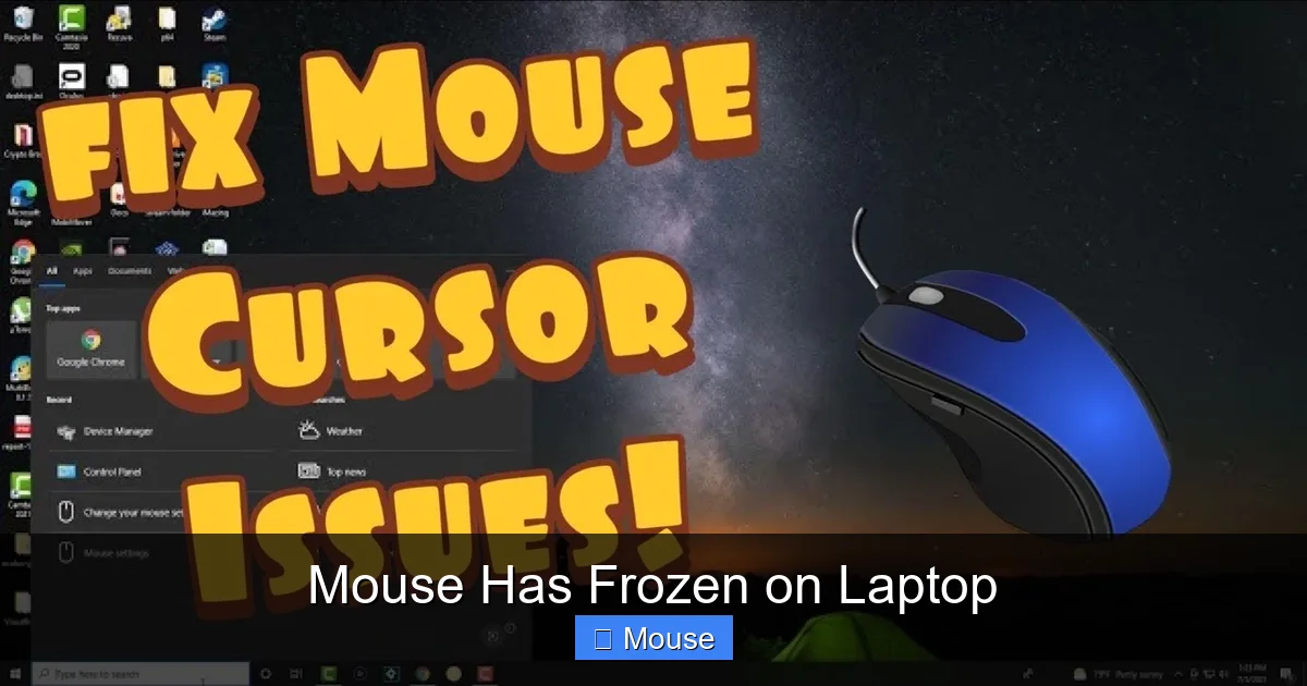 Mouse Has Frozen on Laptop