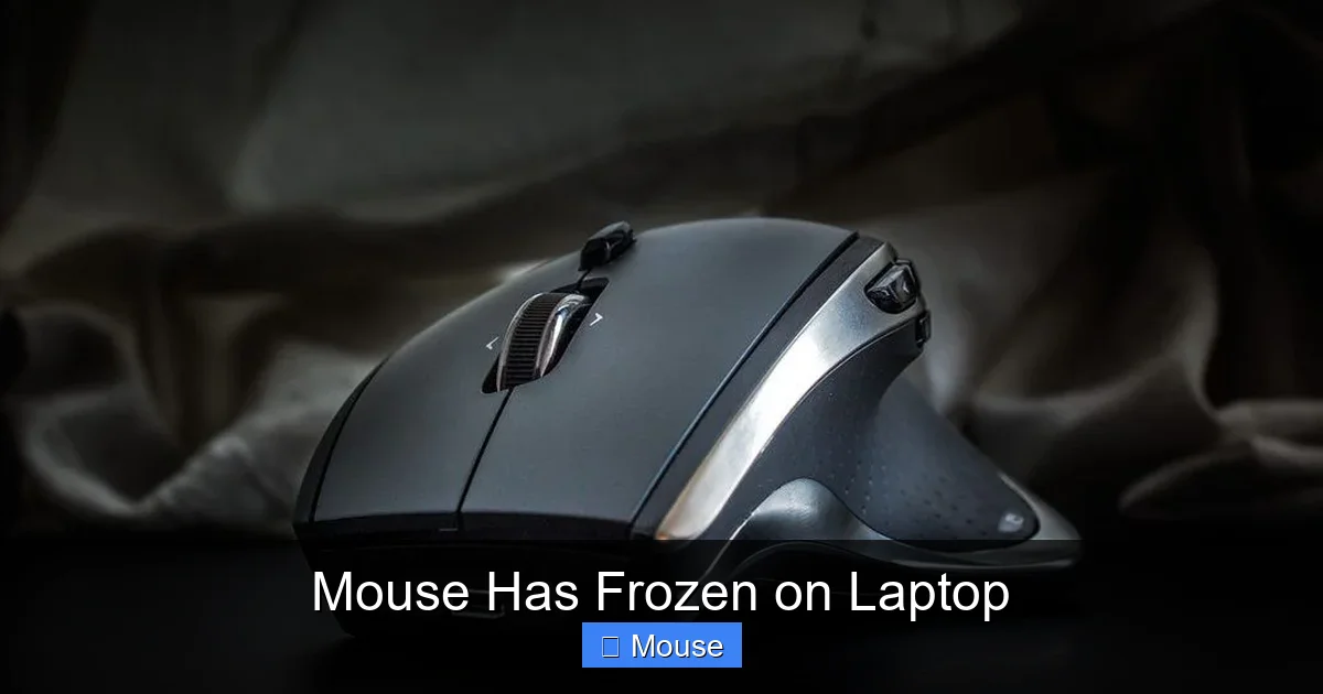 Mouse Has Frozen on Laptop