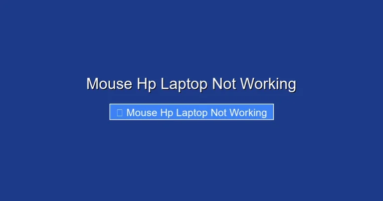 Mouse Hp Laptop Not Working