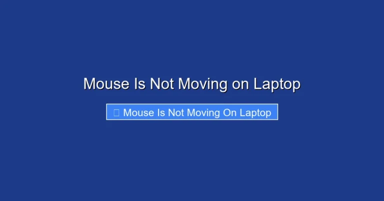 Mouse Is Not Moving on Laptop