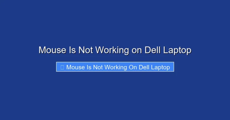 Mouse Is Not Working on Dell Laptop