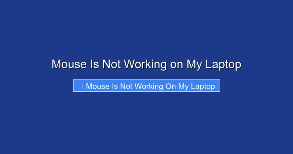 Mouse Is Not Working on My Laptop