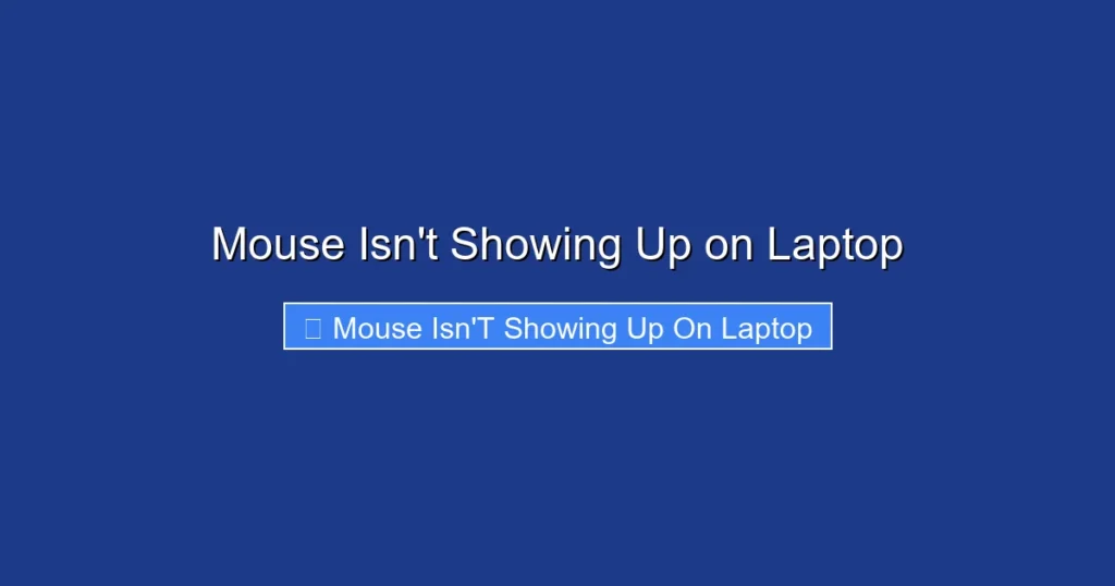 Mouse Isn't Showing Up on Laptop