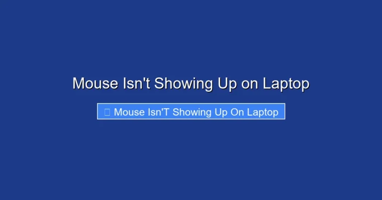 Mouse Isn't Showing Up on Laptop