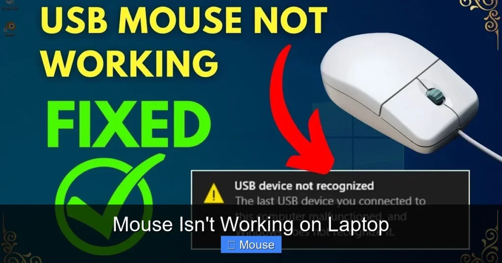 Mouse Isn't Working on Laptop