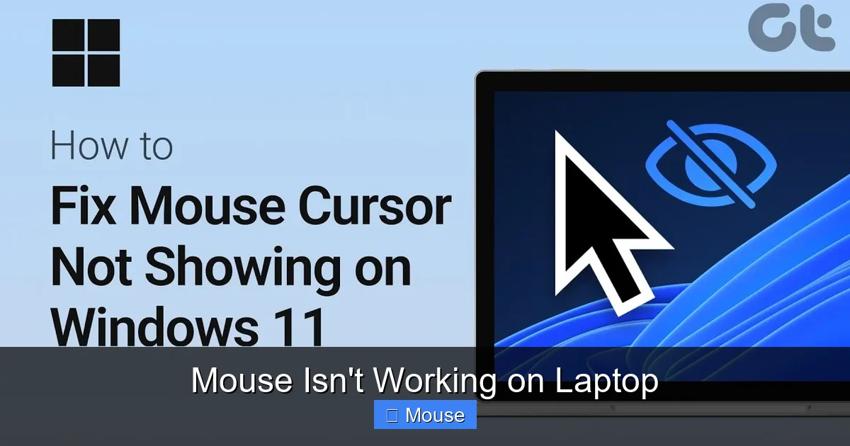 Mouse Isn't Working on Laptop