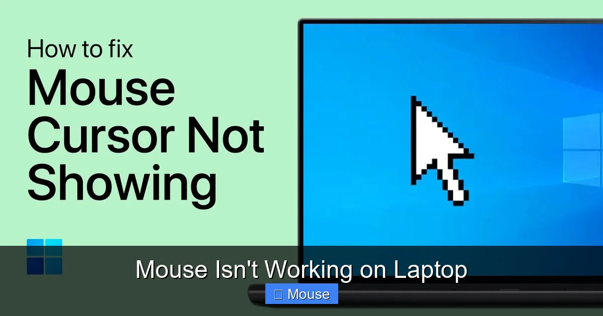 Mouse Isn't Working on Laptop