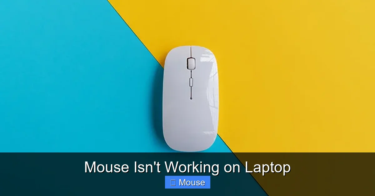 Mouse Isn't Working on Laptop