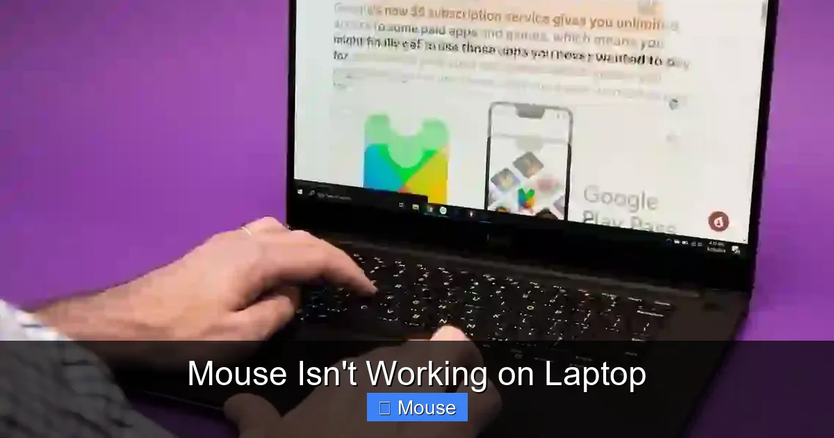 Mouse Isn't Working on Laptop