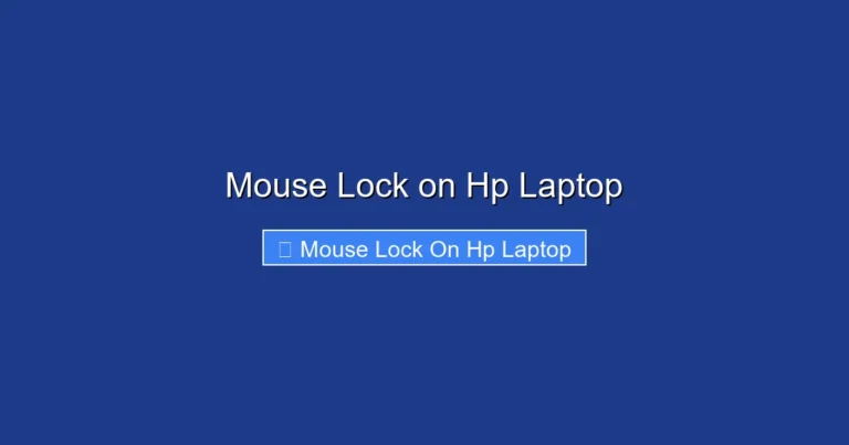 Mouse Lock on Hp Laptop