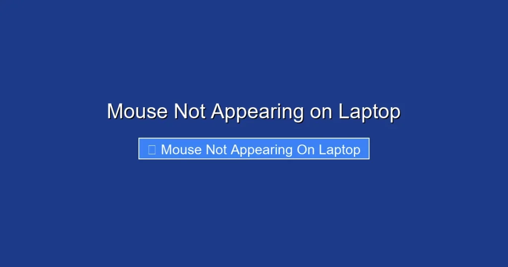 Mouse Not Appearing on Laptop